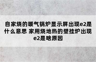 自家烧的暖气锅炉显示屏出现e2是什么意思 家用烧地热的壁挂炉出现e2是啥原因